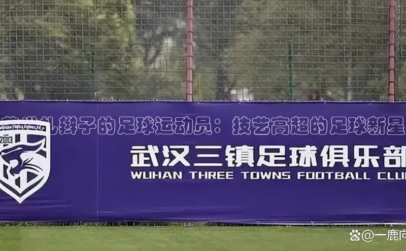 焦点娱乐平台登录ARGA公司黄发扎辫子的足球运动员：技艺高超的足球新星