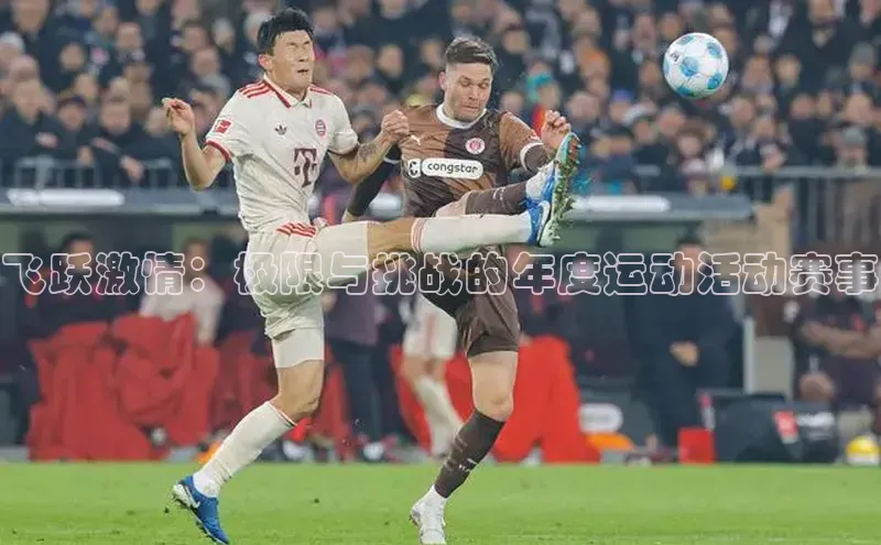 飞跃激情：极限与挑战的年度运动活动赛事