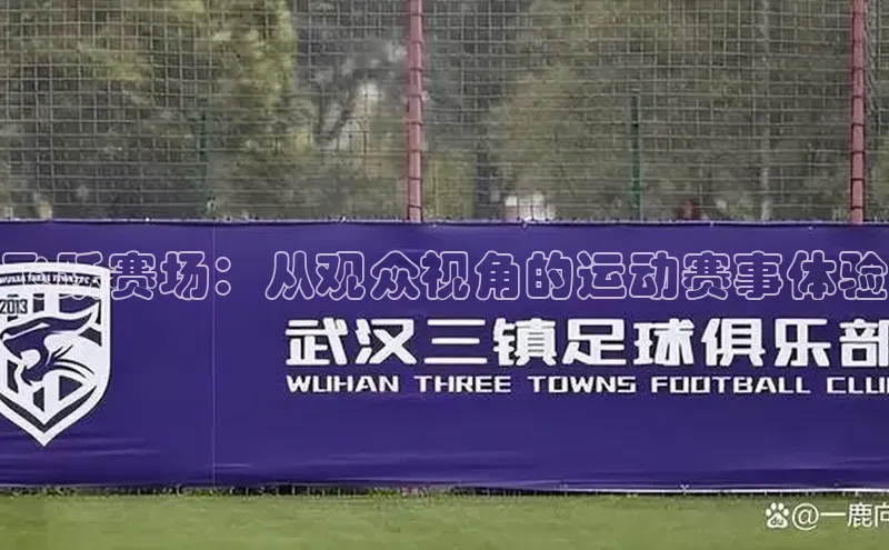 飞跃赛场：从观众视角的运动赛事体验