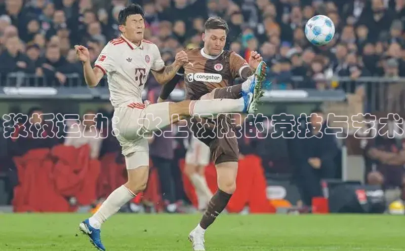 浆板运动：水上极限的竞技与艺术