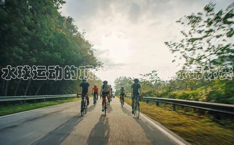 水球运动的顶尖赛事：国际锦标赛